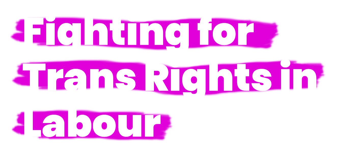 Fighting for Trans Rights